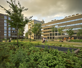 Lucentterrein - Transformatie van een kantorencomplex naar woon- en werkbuurt